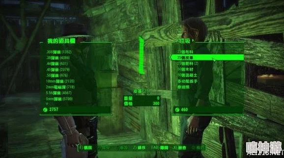 辐射4游戏指南：揭秘哪个商人售卖稀有核子材料及最新交易地点