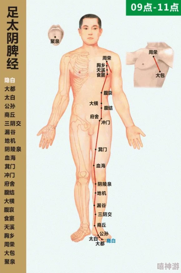 年轻继拇是免费的吗中文？最新动态：关于年轻继拇的使用费用及相关政策更新，值得关注！