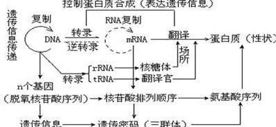 白激之术引发热议专家解析其背后的科学原理与应用前景吸引众多科研人员关注和参与研究