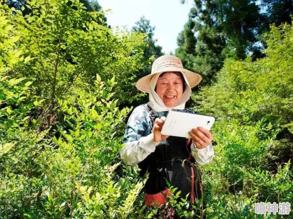 阴阳师联动农夫山泉活动详解：瓶子兑换奖励全攻略及具体奖励内容一览