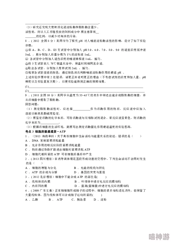 危鸡之夜研究币全面解析：探究其关键作用与用途介绍