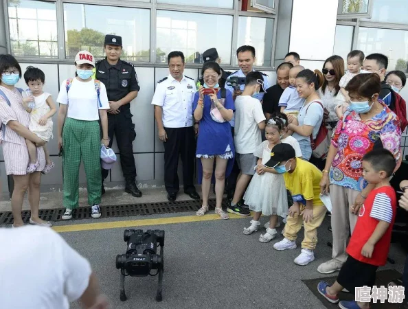 海岛奇兵深度攻略：雷达系统全解析，升级时间及所需资源一览表