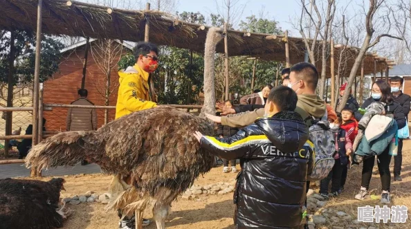 全面解析：精灵萌宝贝训练师必备技能与实战应用详解