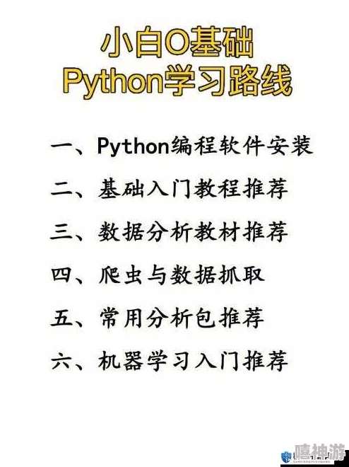 免费python在线观看源码，提供学习编程的便捷途径