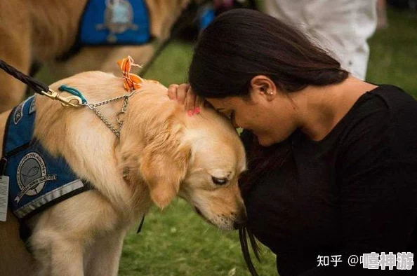 人与狗黄色片让我们珍惜与动物的陪伴，传递爱与温暖，共同创造美好生活