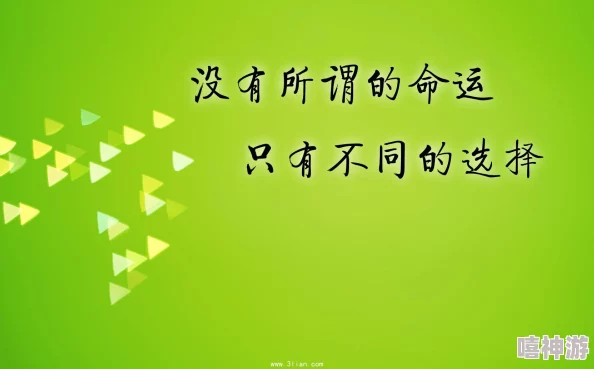 官场之风流秘史积极向上追求真理与正义让我们共同努力创造美好未来