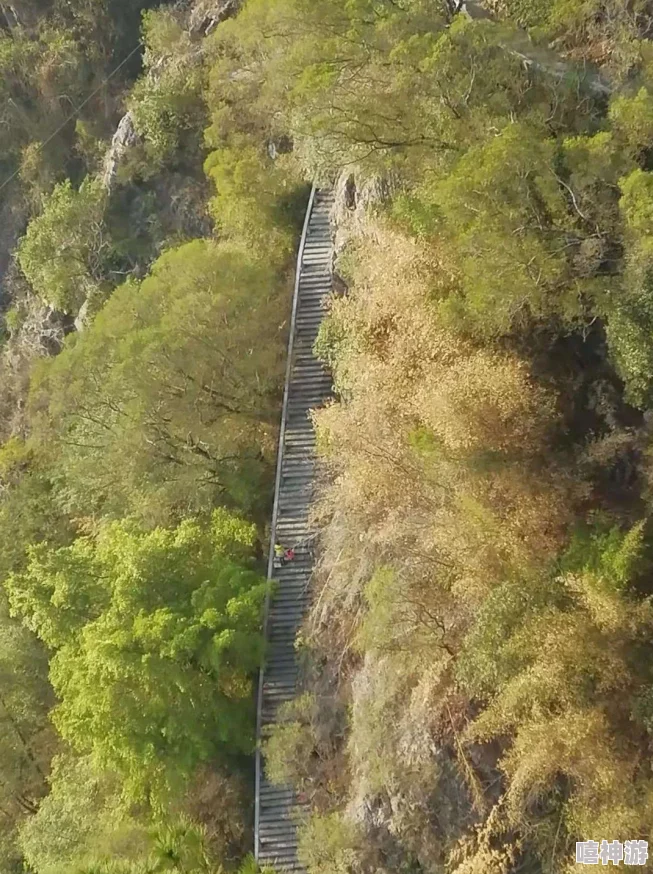 荒野乱斗全面剖析：最新升杯机制大揭秘，惊喜策略调整助力玩家高效冲分，速攀天梯之巅！