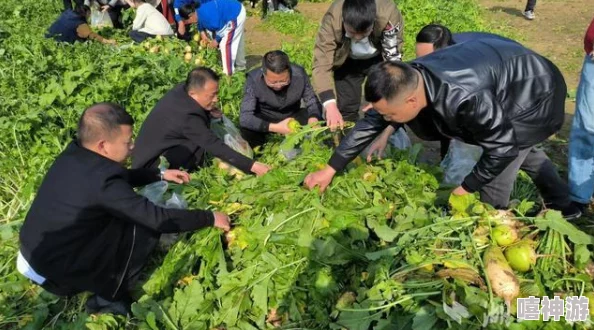 免费拔萝卜直播怎么赚钱直播间卖化肥种子农具周边产品月入过万