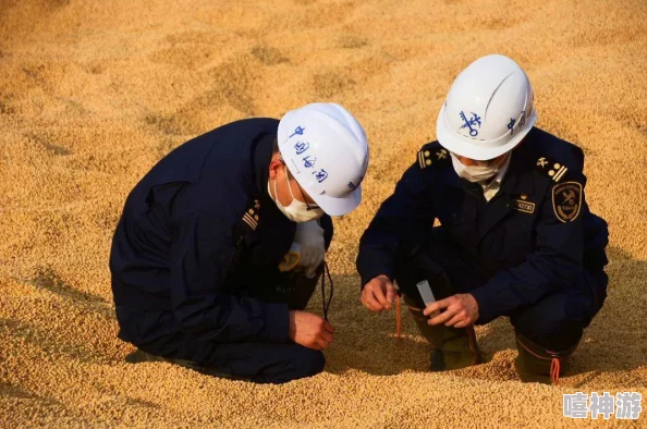 大豆行情网免费v升级版震撼上线！掌握最新市场动态，零成本高效获取大豆价格信息，更有惊喜行业报告等你拿！