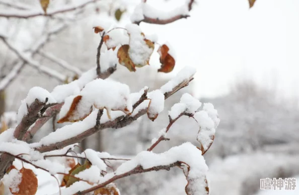 《暖雪》手游雷1经典速杀流玩法攻略大揭秘：轻松击败敌人，惊喜新更新让战斗更畅快！