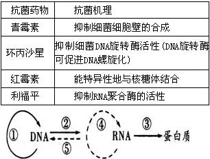 室友粗大h探讨男性体格差异与健康状况的关系