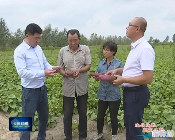 《心动小镇》南瓜种植教程：从零开始打造丰收乐园，惊喜消息！新增神秘作物等你来发现