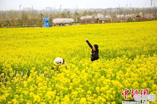 伊人婷婷涩六月丁香七月夏日花海绽放吸引游客纷至沓来