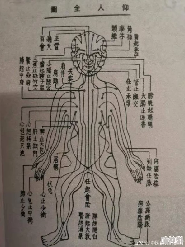 如何把自己玩成喷泉探索人体穴位与快乐的科学原理及方法