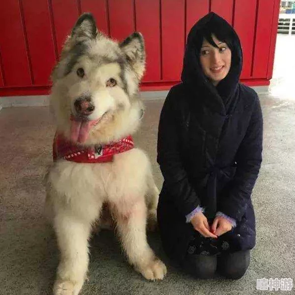 调教人形犬听说主演私下养了三只藏獒还喜欢cosplay