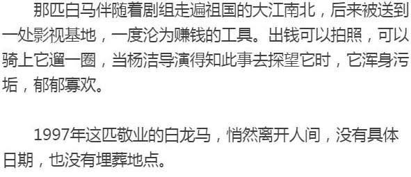 韵母攻略掌中美母沈若雪完整版资源流出高清无删减版在线观看