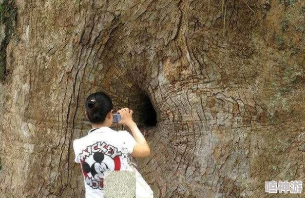 战术大师手游：深度解析时空裂隙玩法流程与技巧