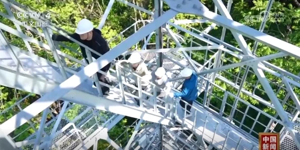 《我的世界》守护珍贵建筑：掌握两大防护要点，紧跟最新热门技巧！