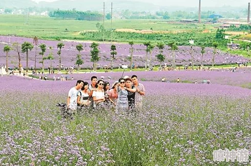 香草影视传媒公司涉嫌传播未经授权影视作品已被立案调查