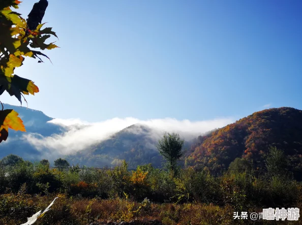 阴阳师最新攻略：红叶的羁绊每层妖怪阵容详解及第三回合热门妖怪解析