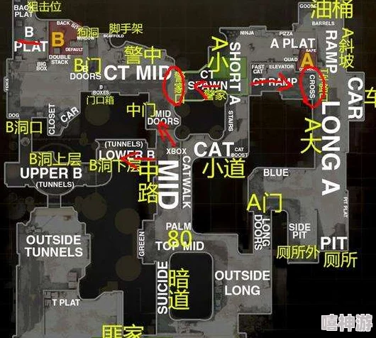 热门战术解析：卡点放烟技巧在生化13号地区点位争夺战中的最新应用