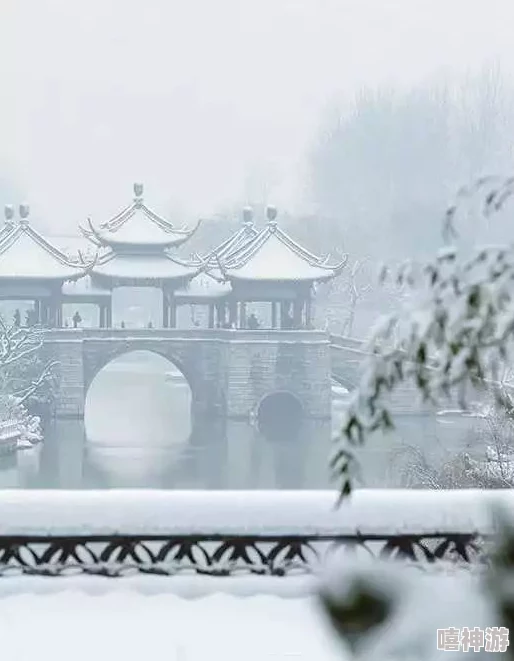 风花雪月完整版视频在线观看探寻诗意与现实的交融展现多角度文化解读