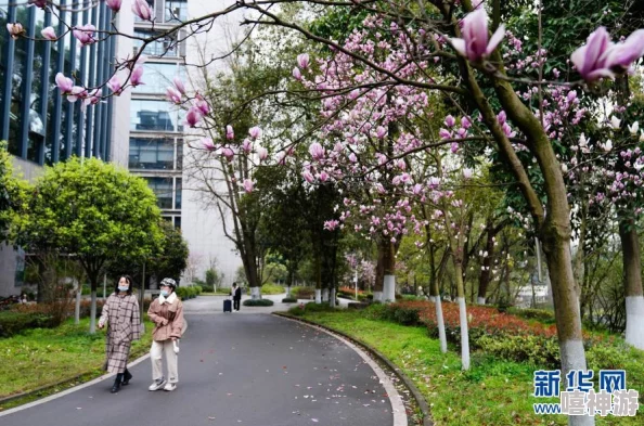 校园春色第一页校花林晓梅和学生会主席李明疑似恋爱ing