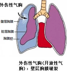 亲胸揉胸膜下刺羞羞漫画内容低俗，传播不良信息，可能对青少年造成负面影响