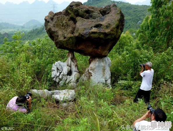 无人在线观看完整版免费中文画质清晰流畅无删减版值得推荐