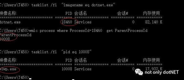 无人区编码6773神秘代码引发网友热议疑似隐藏重要信息