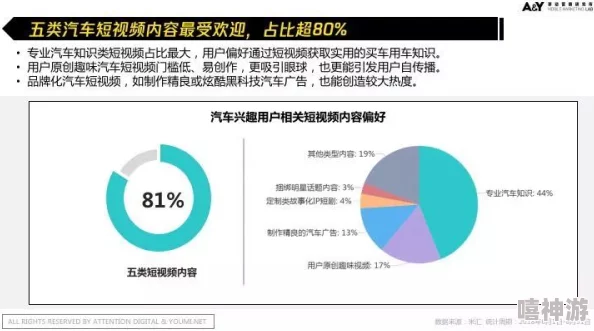 欧美二区三区为什么拥有海量资源成为众多用户的首选