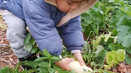 男人的伸到里拔萝卜为什么让人欲罢不能可能是因为它勾起了人们童年时期无忧无虑的回忆