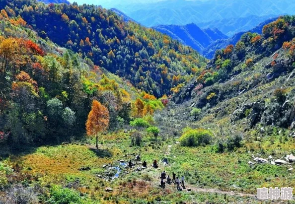 仙境传说手游：最新热门隐藏遗迹景点位置全图解析