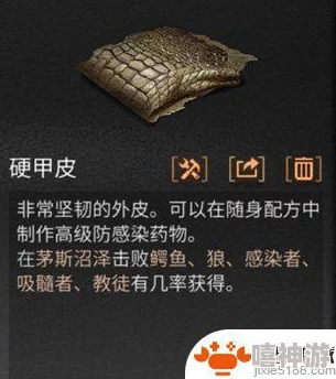 《明日之后》硬甲皮获取攻略及实用作用详解，热门新玩法必备材料