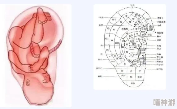 射雕英雄传手游：全新经脉系统玩法深度解析与热门更新速递