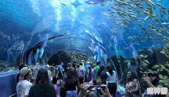 深度解析梦幻水族箱高效喂鱼技巧与策略，全面指南助你成为顶尖水族馆管理员