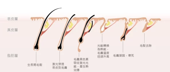 DNF唱机推荐指南：哪款唱机最适合你？