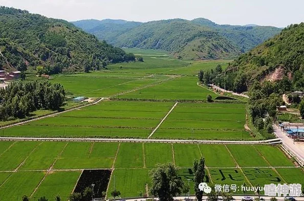 海滩上的灵魂之夏：公主连结盛夏真步王国活动开启